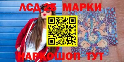 СК Моздок