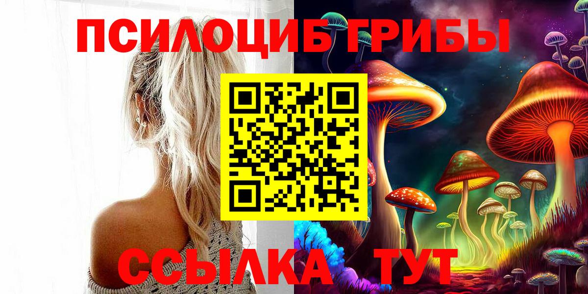 Псилоцибиновые грибы GOLDEN TEACHER Тихвин